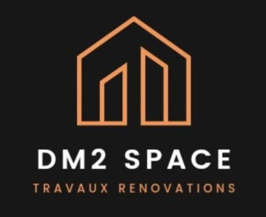 Dm2 Space logo